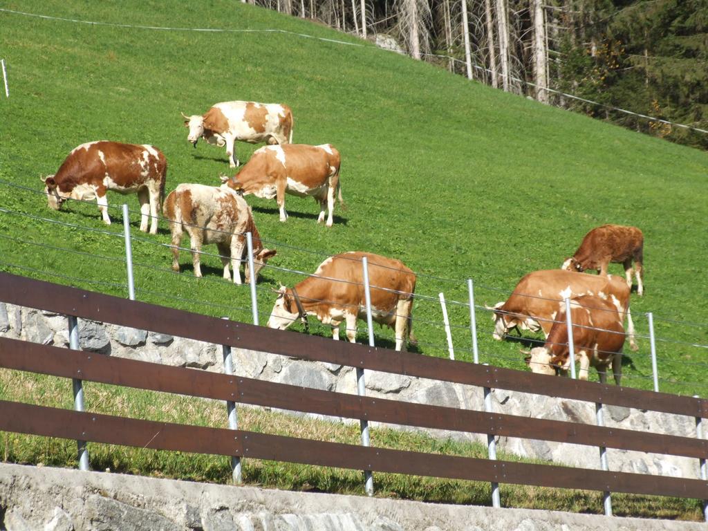 Ferienwohnung Lehenhof Ried im Zillertal Szoba fotó